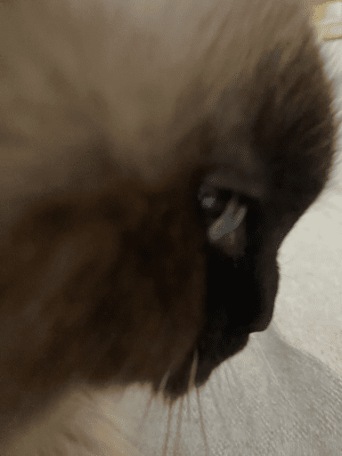 TEST D